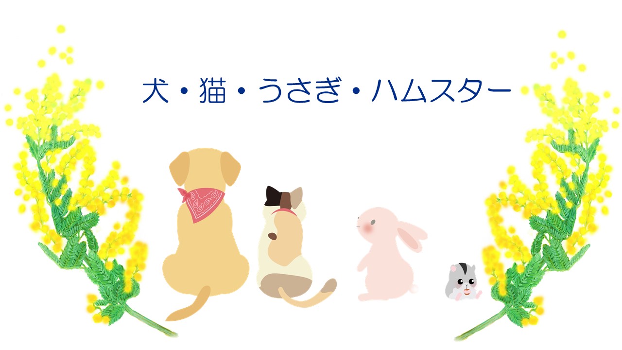 犬、猫、うさぎ、ハムスター